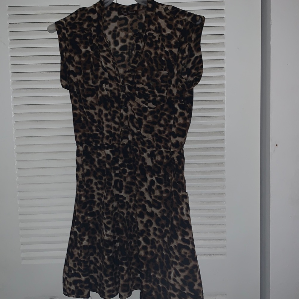 Animal Print Dress